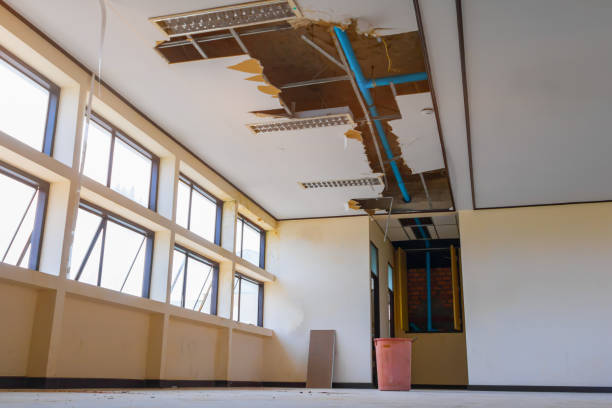 Best Mold removal after water damage  in Maysville, NC