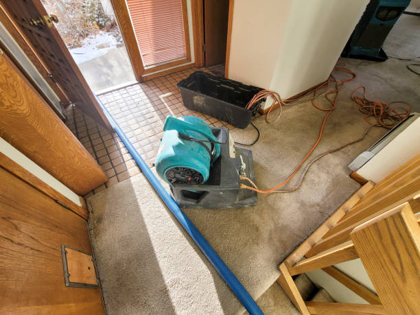 Best Water damage restoration near me  in Maysville, NC
