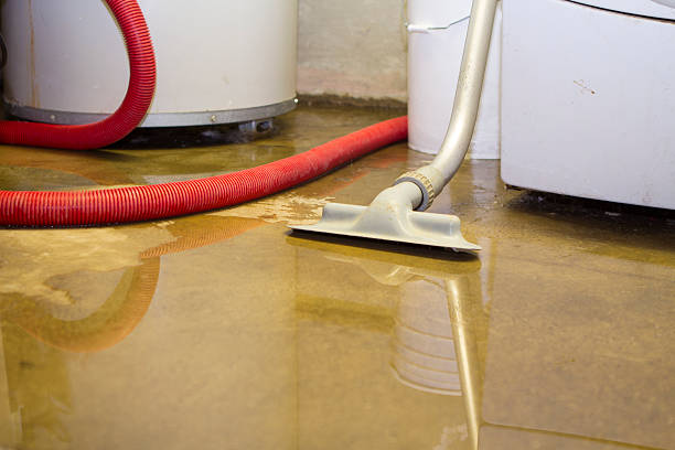 Best 24/7 water damage repair  in Maysville, NC