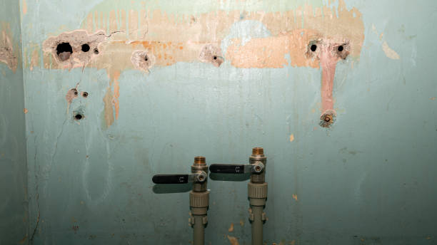 Best Flood restoration services  in Maysville, NC