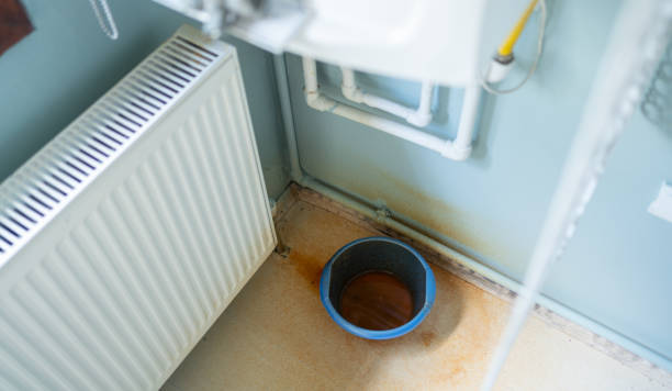 Best Ceiling water damage repair  in Maysville, NC
