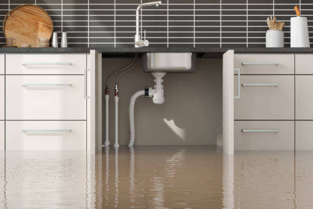 Best Water damage contractors near me  in Maysville, NC