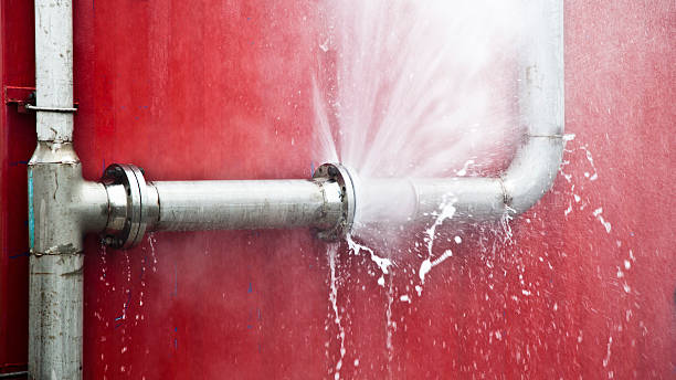 Best Residential water damage restoration  in Maysville, NC