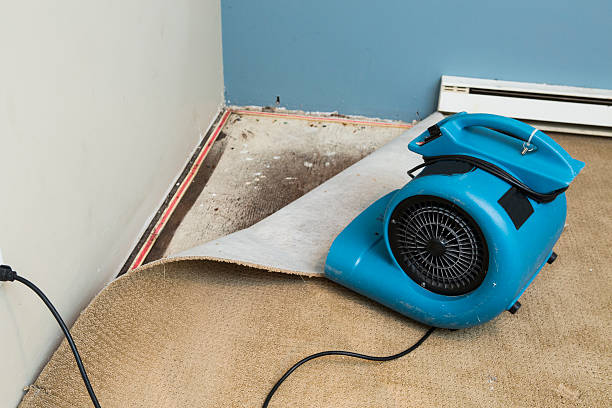 Best 24/7 water damage repair  in Maysville, NC